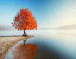 精​准‌云‌app下‍载‍